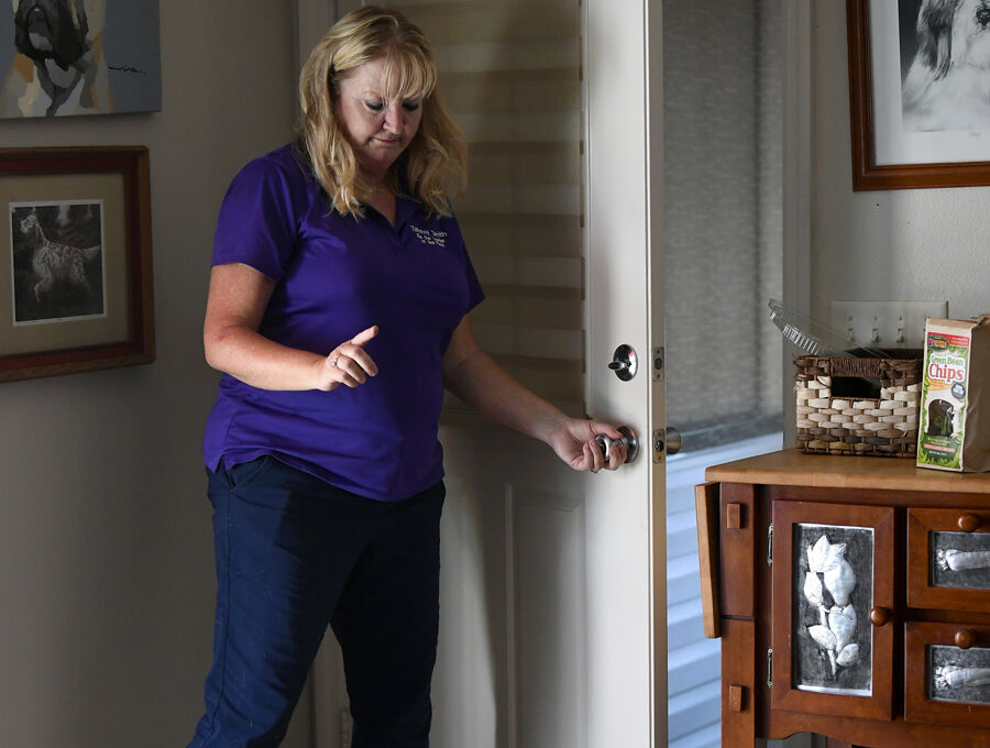 5 ways to make sure your pet stays safe